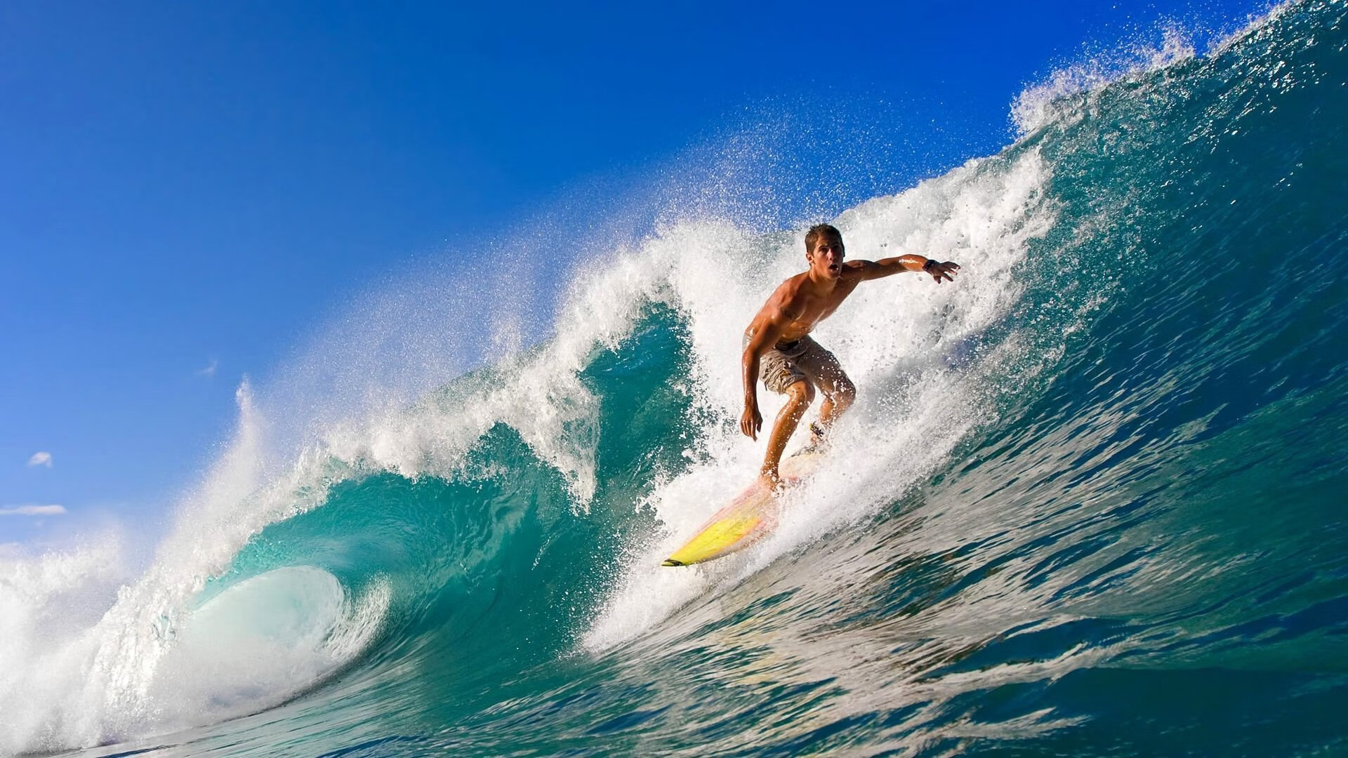 数字化青训“智慧平台”成为行业标配，提升青训国际竞争力，数字青少年宫首页